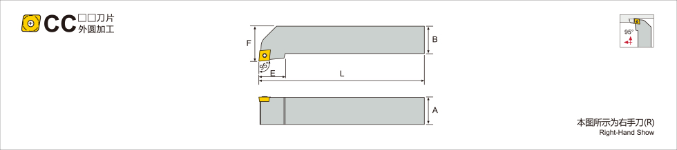 SCLC 95°.jpg